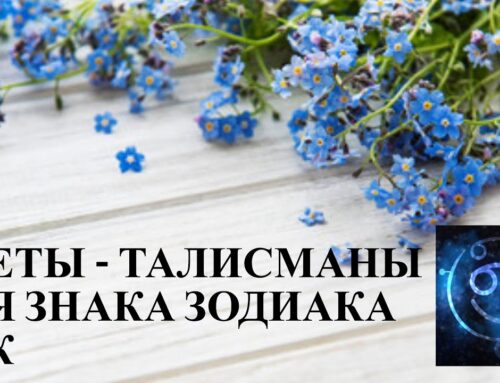 Цветок у знака зодиака рак